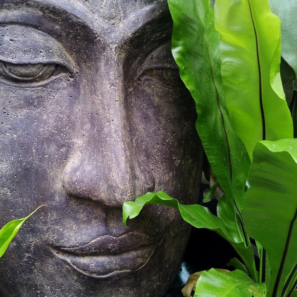 Meet your Posher, MM - Picture 3 of 4